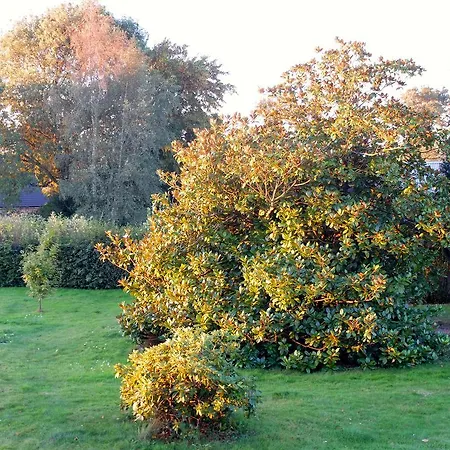 Casa de Férias La Mandragore Lyons-la-Forêt